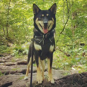 Meet your Posher, Diana